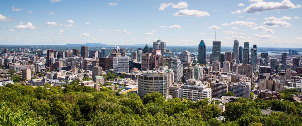 View from Mount Royal Park capturing Montreal's architectural density, integrating urban green spaces with the vertical development of the financial district.